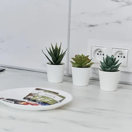 Museum Square By Renters Apartamento Breslavia