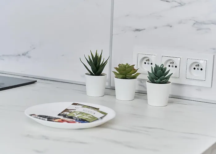 Museum Square By Renters Appartamento Breslavia